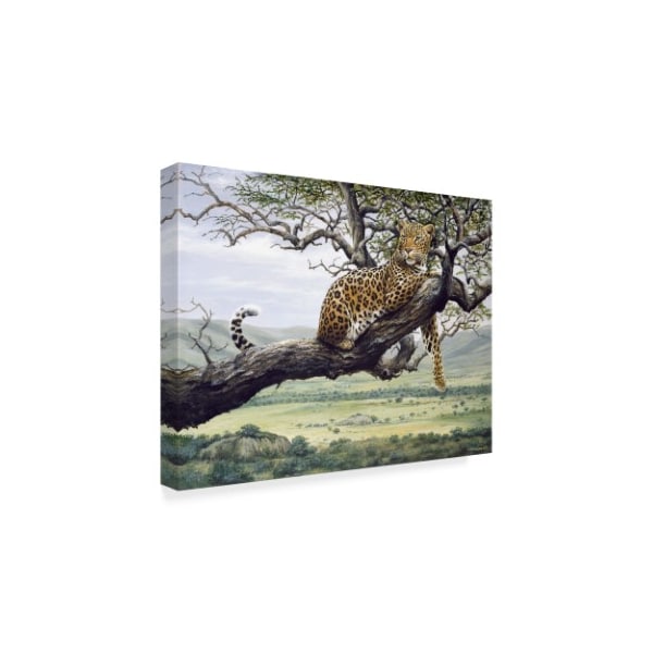 Harro Maass 'Leopard In Tree' Canvas Art,24x32